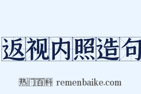 返视内照造句是什么意思的图片